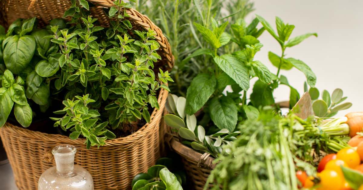 Proprietà Benefiche delle Erbe Aromatiche e Come Usarle in Cucina